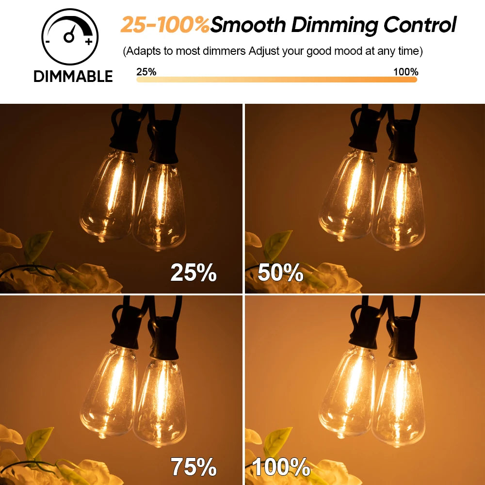 ST38 solar outdoor string lights