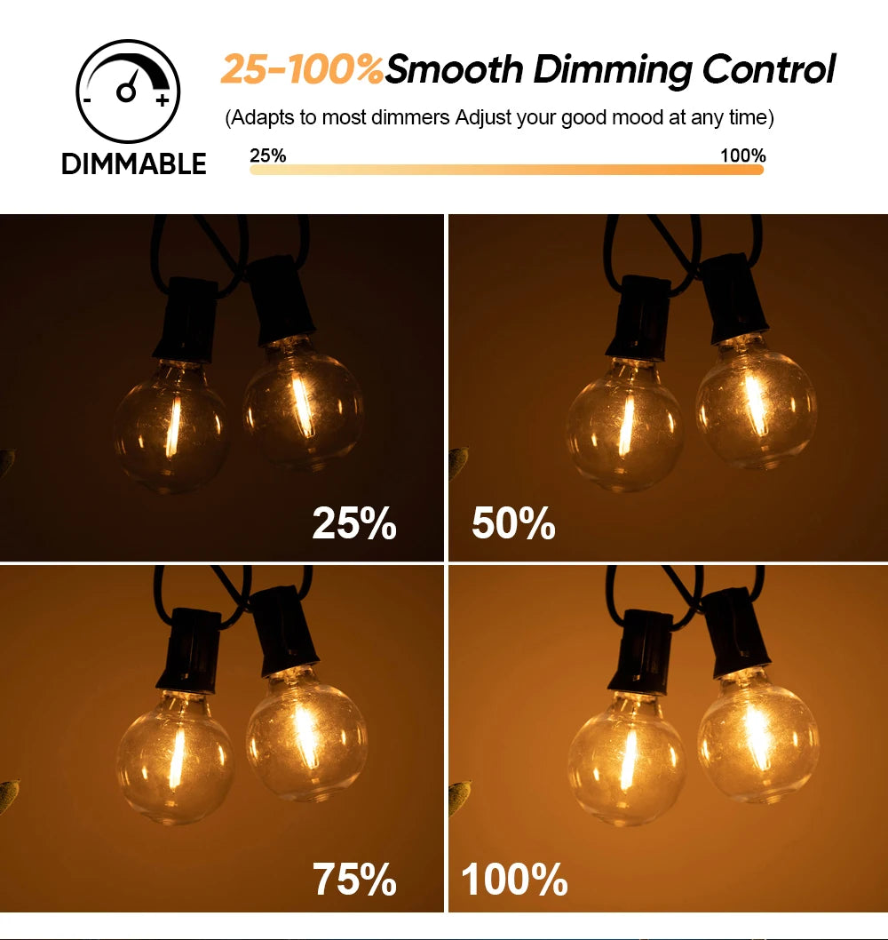 Solar G40 Outdoor String Lights with Remote Control