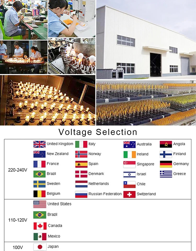 Solar G40 Outdoor String Lights with Remote Control
